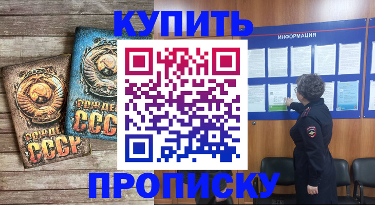 прописка для школы в Мурманске
